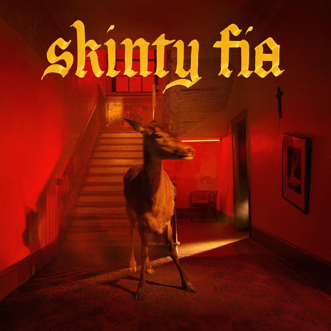 Fontaines D.C. - Skinny Fia - CD
