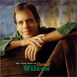 David Wilcox - Very Best Of- USED CD