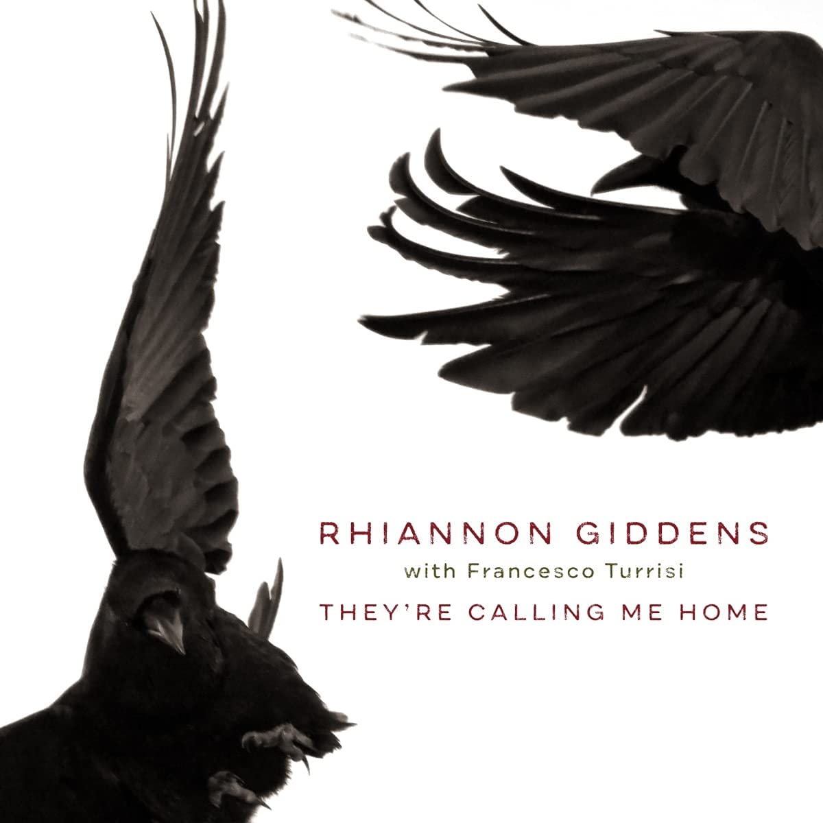 Rhiannon Giddens - They're Calling Me Home - LP