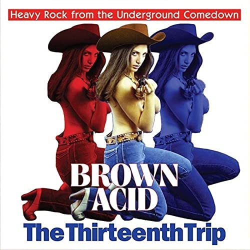Various - Brown Acid: The Thirteenth Trip - LP