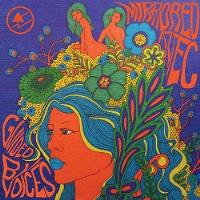 Guided By Voices - Mirrored Aztec - CD