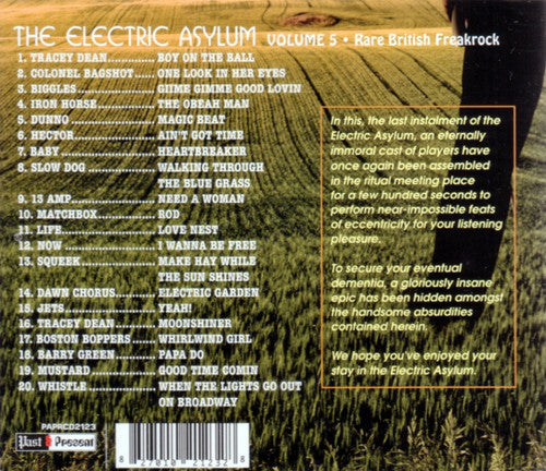 Electric Asylum Vol.5: Rare British Freakrock - CD