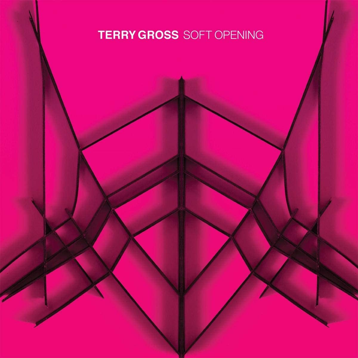 LP - Terry Gross - Soft Opening