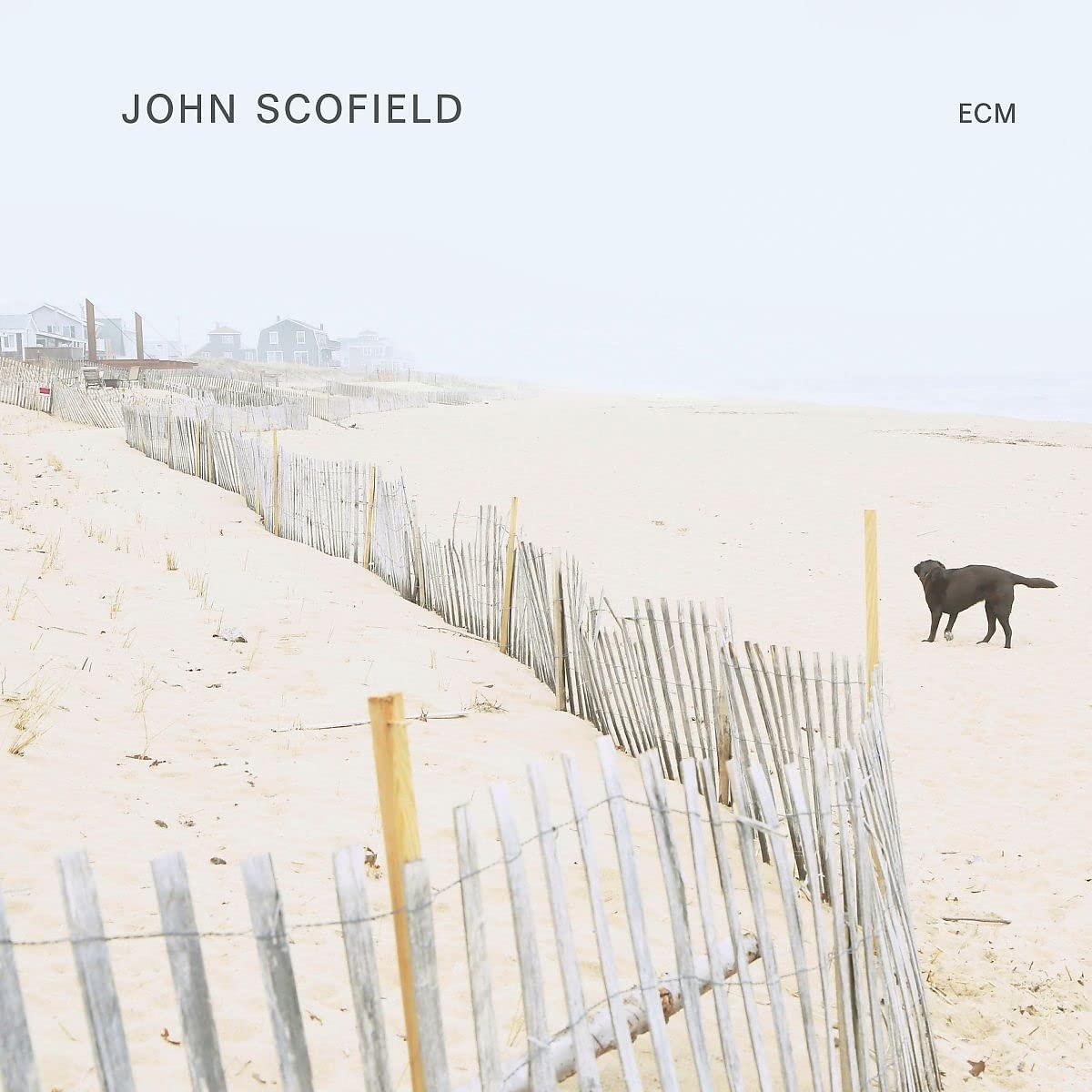 John Scofield - S/T - LP