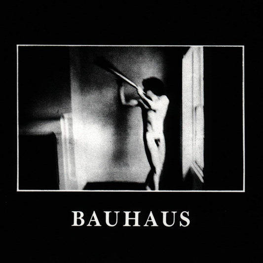 LP - Bauhaus - In The Flat Field