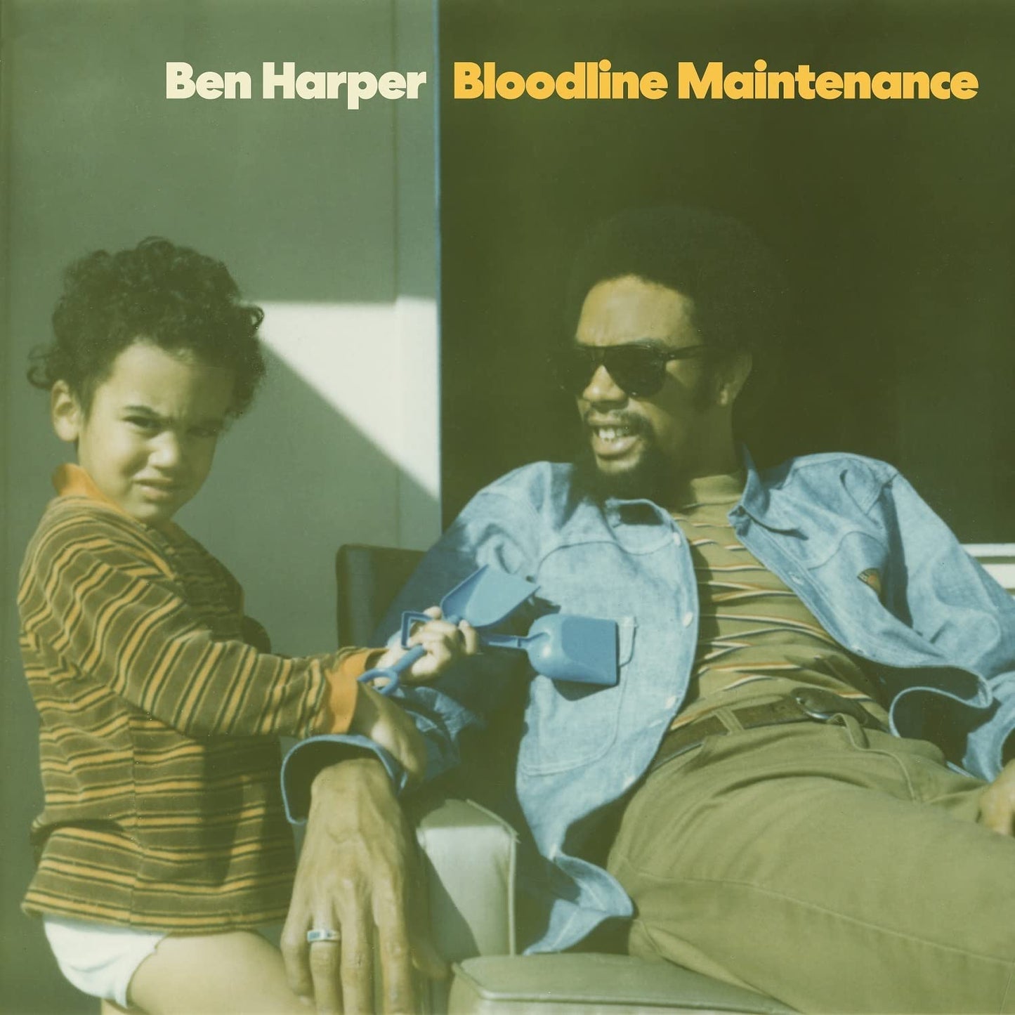Ben Harper - Bloodline Maintenance - CD