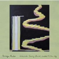 Porridge Radio - Waterslide, Diving Board, Ladder To The Sky - CD