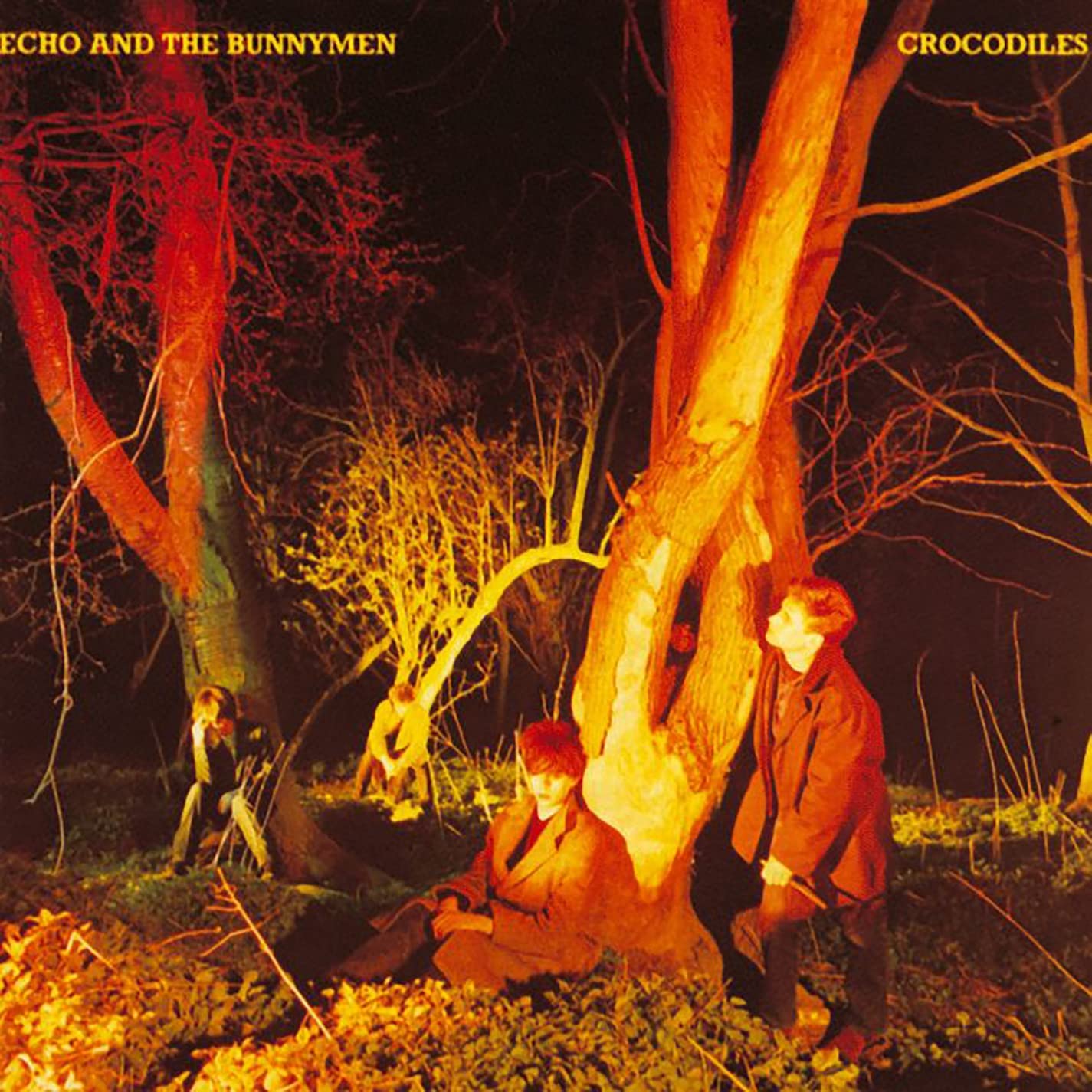 Echo And The Bunnymen - Crocodiles - LP