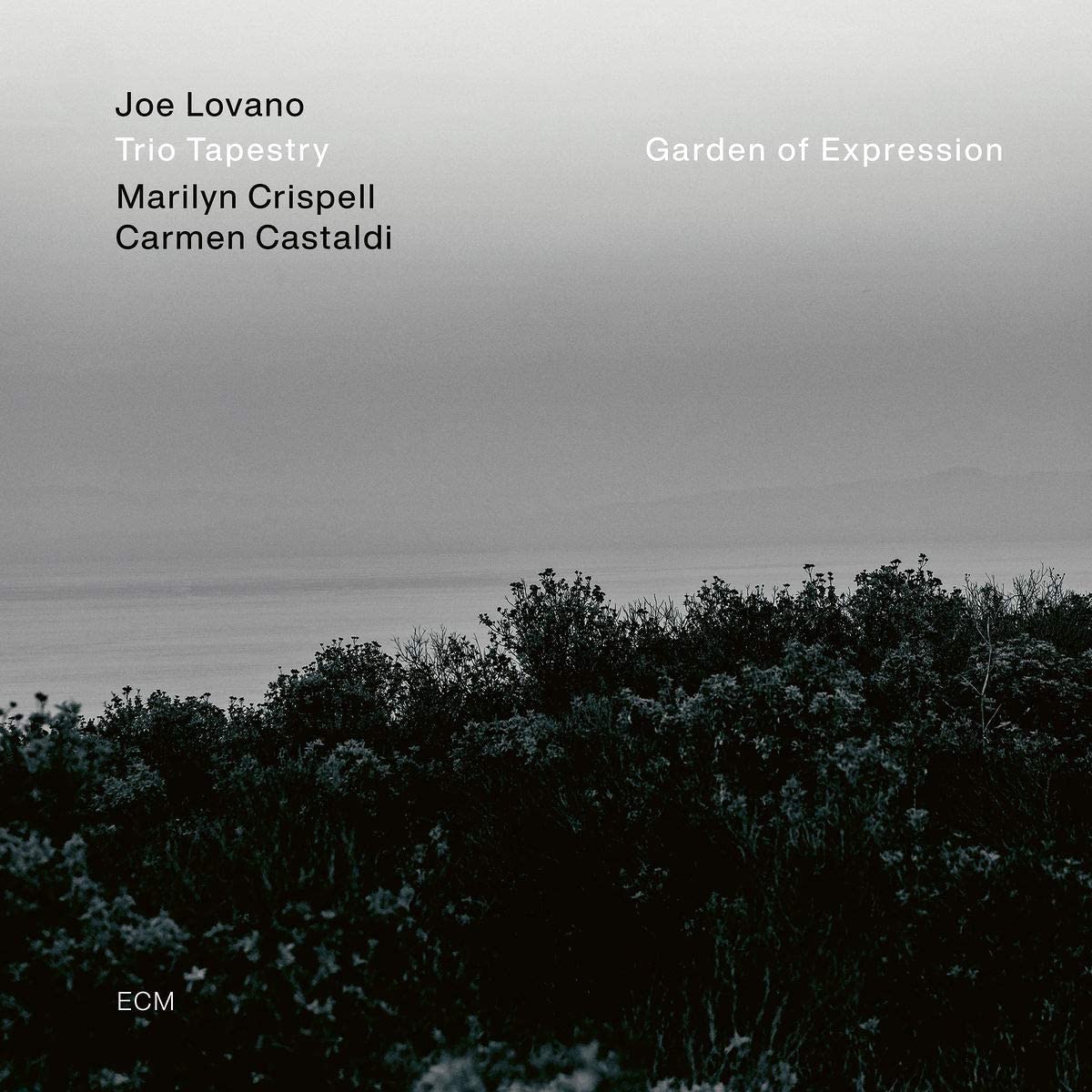 Joe Lovano - Garden Of Expression - CD