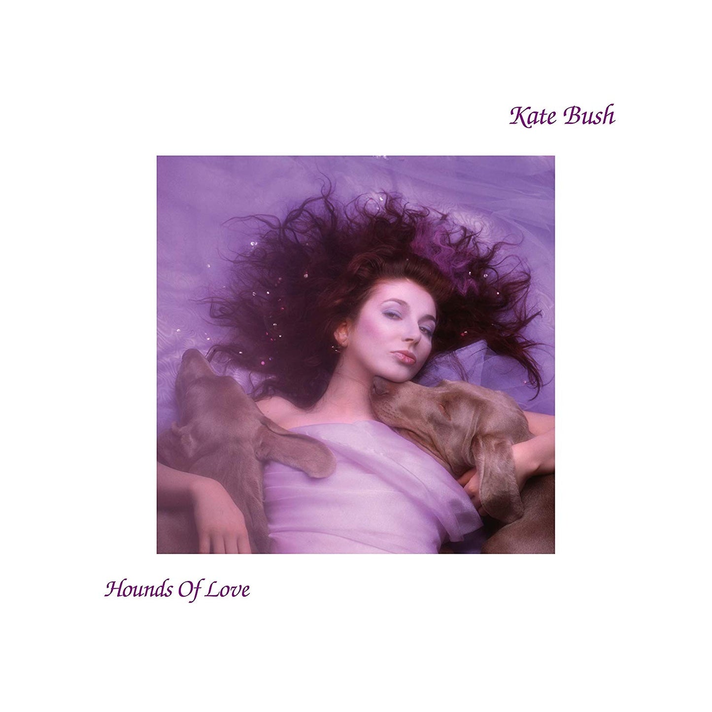 LP - Kate Bush - Hounds Of Love