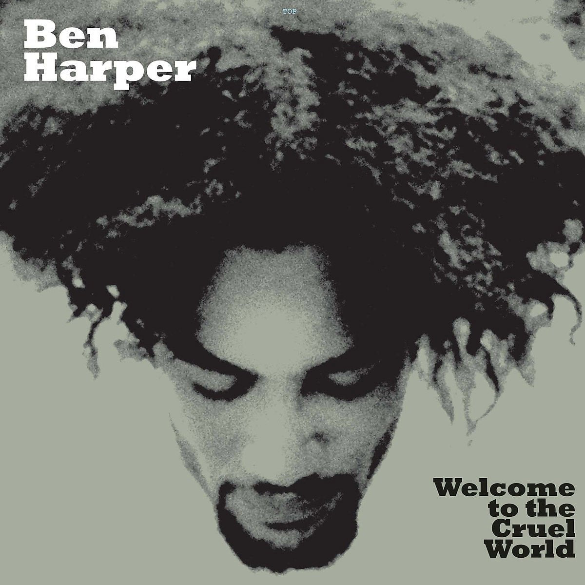 2LP - Ben Harper - Welcome To The Cruel World