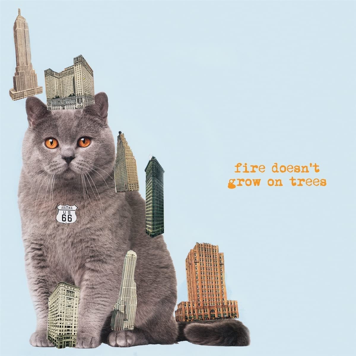 Brian Jonestown Massacre - Fire Doesn't Grown On Trees - CD