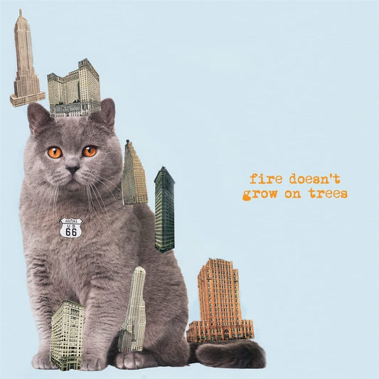 Brian Jonestown Massacre - Fire Doesn't Grown On Trees - CD