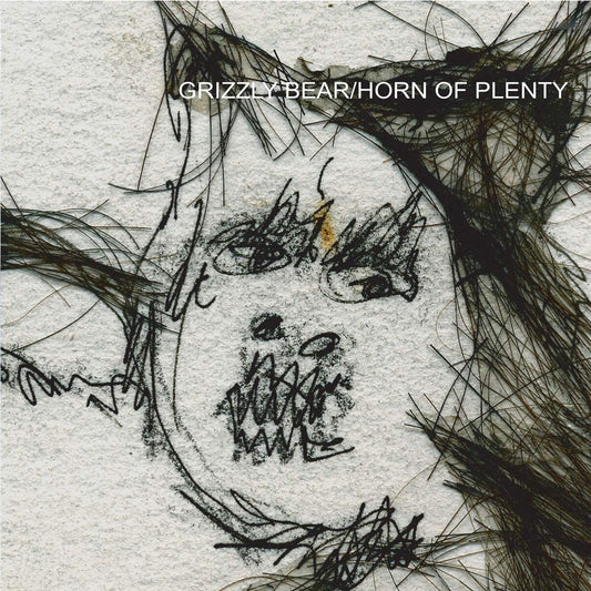 Grizzly Bear - Horn Of Plenty - LP