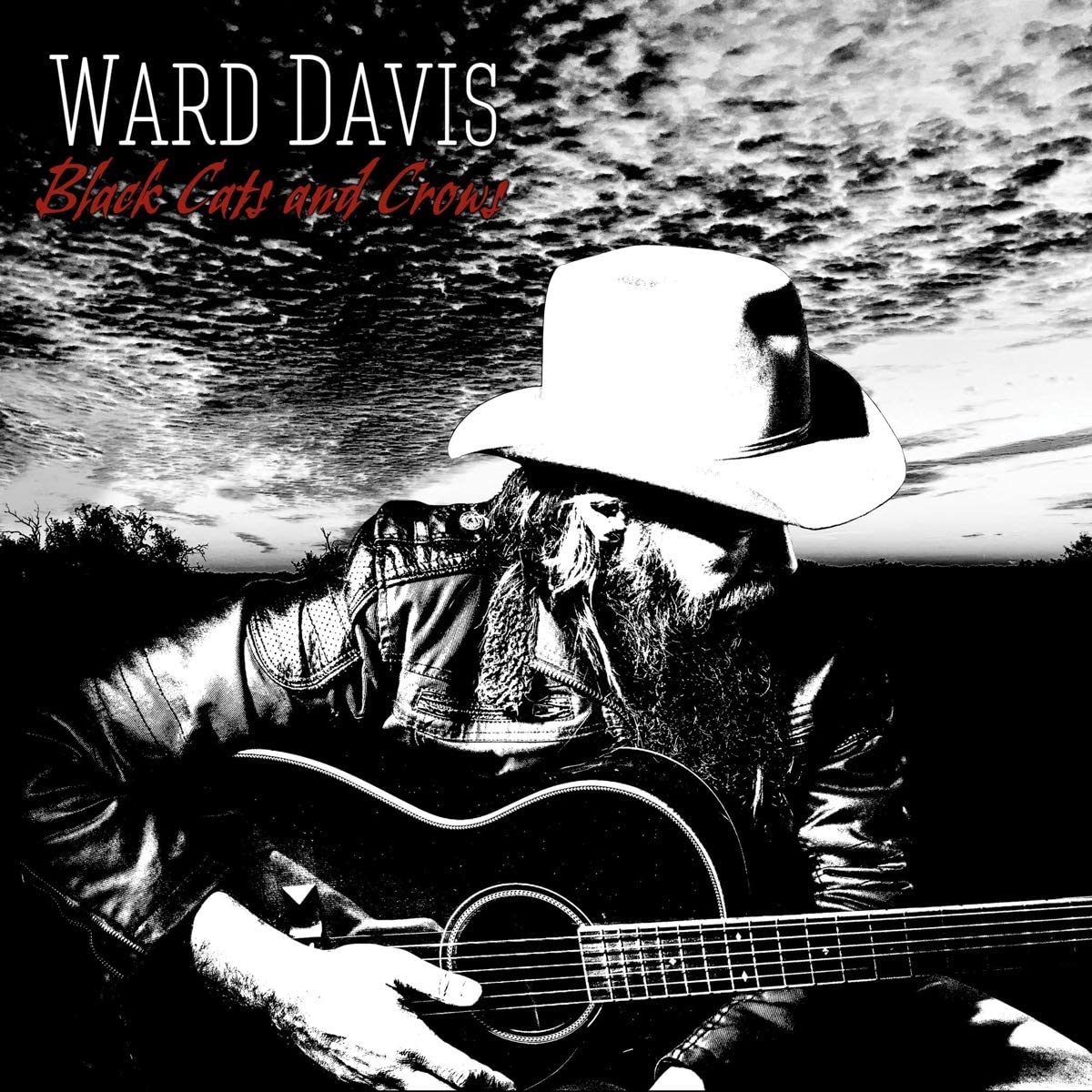 Ward Davis - Black Cats And Crows - CD