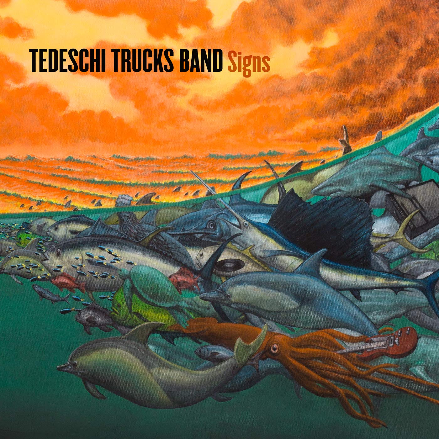 CD - Tedeschi Trucks Band - Signs