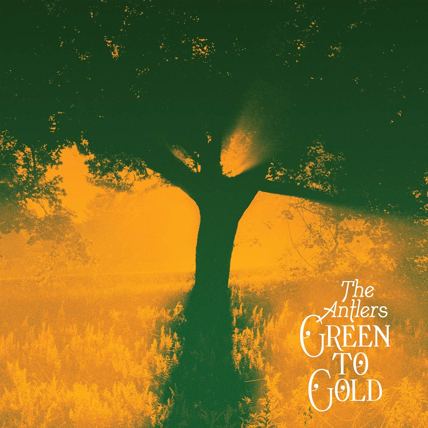 The Antlers - Green To Gold - LP