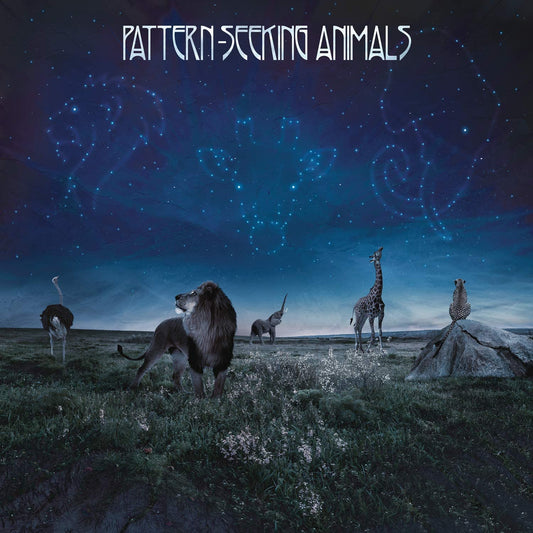 CD - Pattern Seeking Animals - s/t