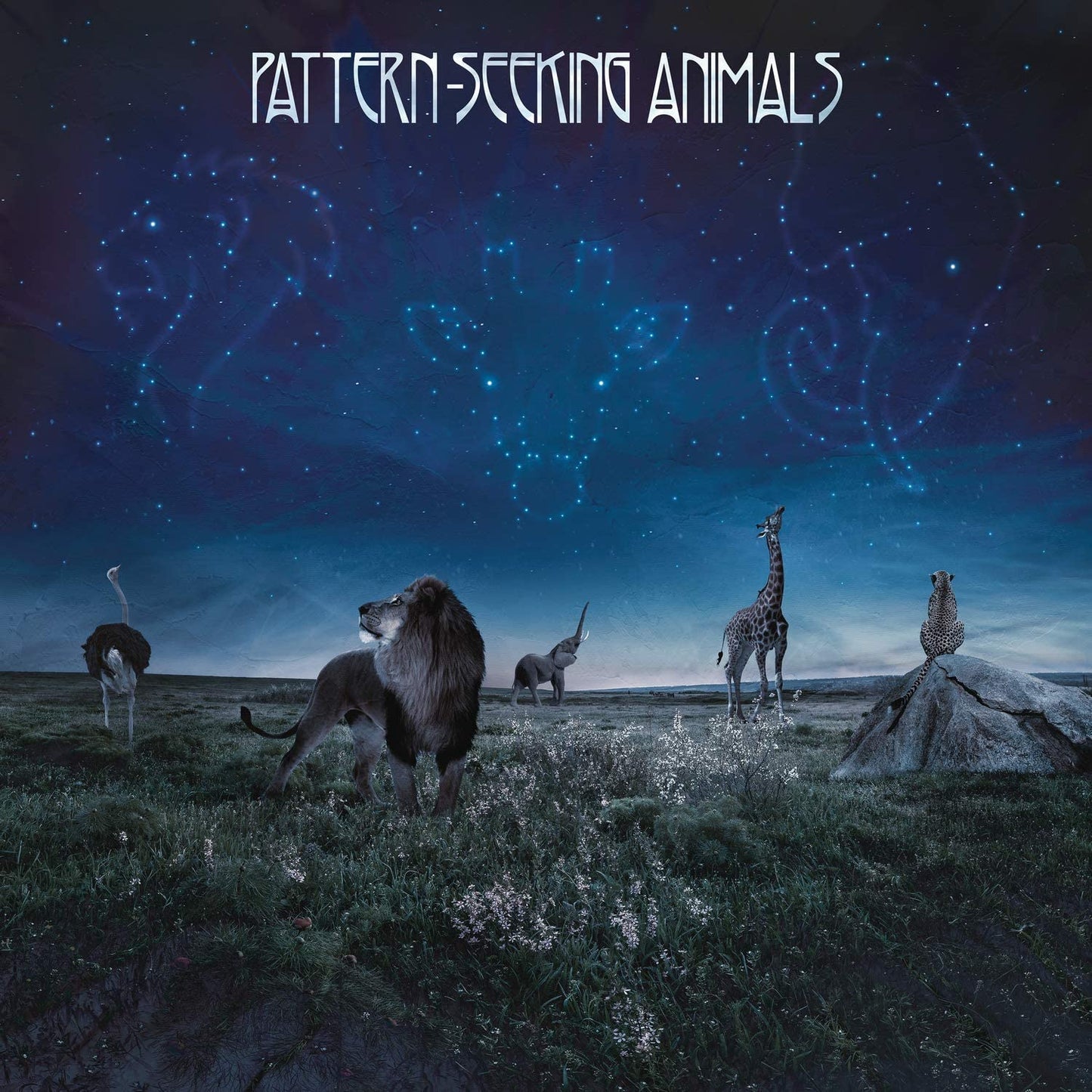 Pattern Seeking Animals - s/t - CD