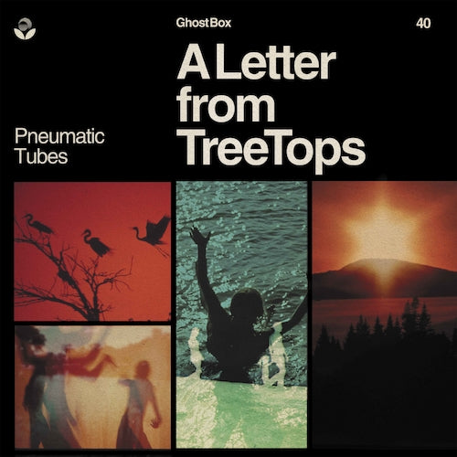 Pneumatic Tubes - A Letter from TreeTops - LP