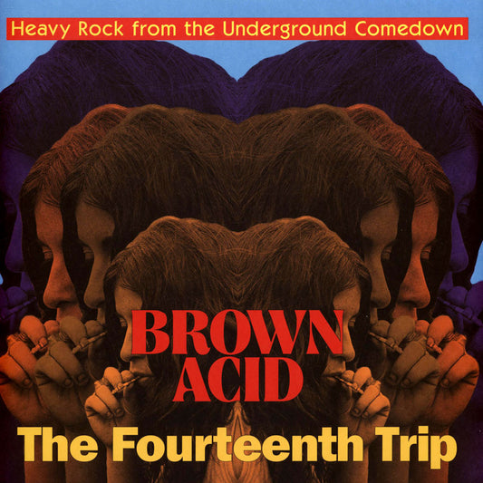 Various - Brown Acid: The Fourteenth Trip - LP