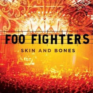 2LP - Foo Fighters - Skin And Bones