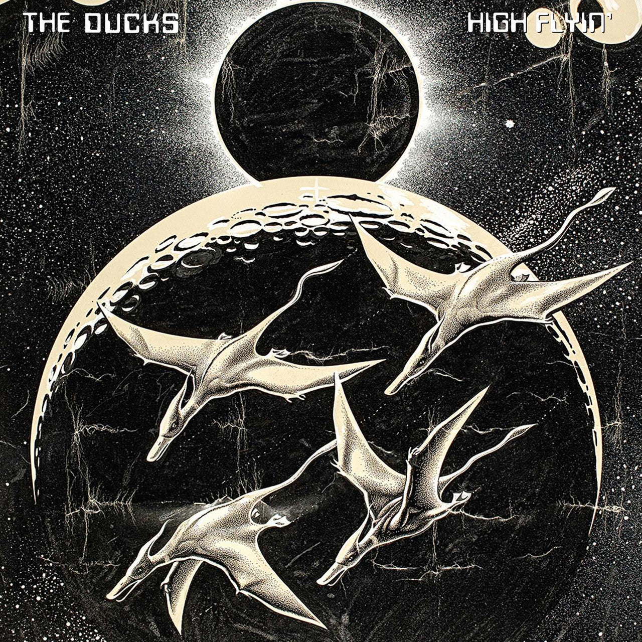 2CD - The Ducks - High Flyin' - 2CD