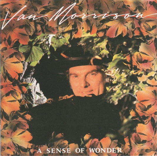 Van Morrison – A Sense Of Wonder - USED CD