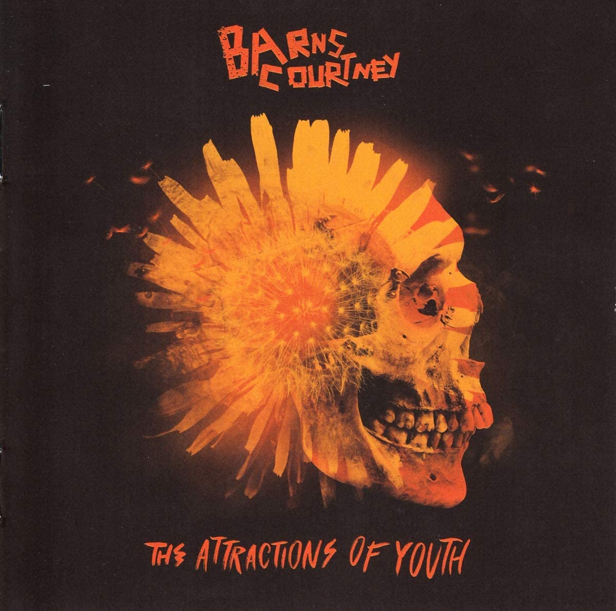 Barns Courtney – The Attractions Of Youth - USED CD