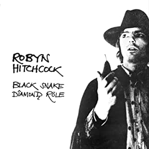 Robyn Hitchcock - Black Snake DIamond Role - CD