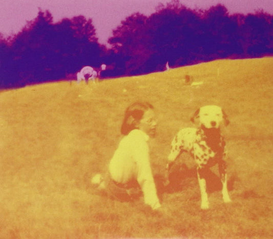 Eels - Blinking Lights And Other Revelations - 2CD