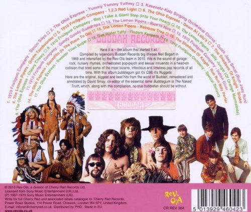 Various – Bubblegum Music Is The Naked Truth Vol. 1 - USED CD