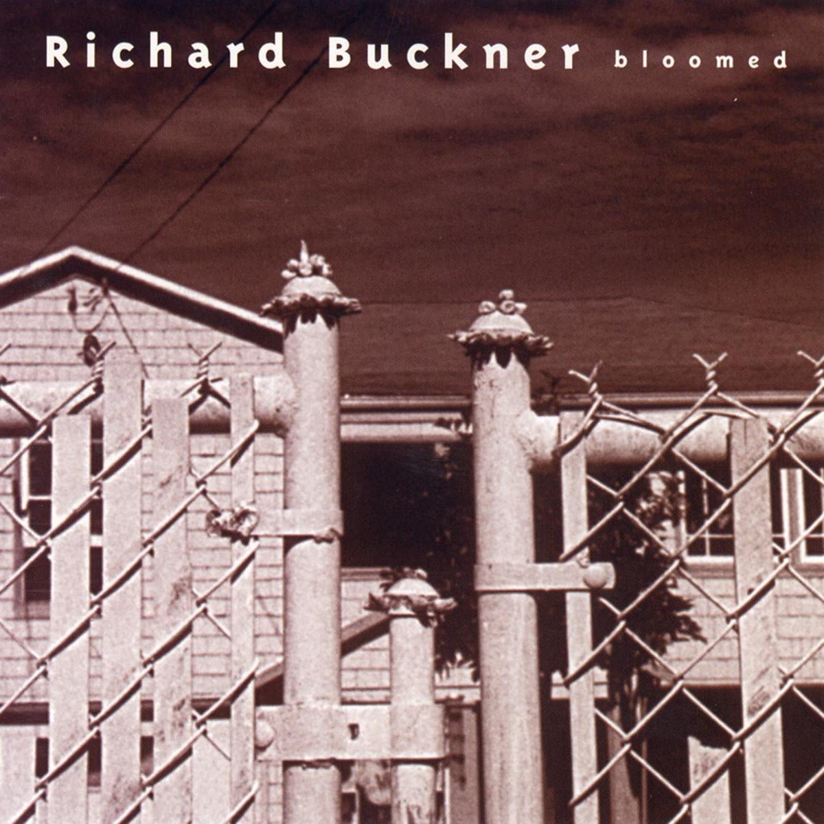 Richard Buckner - Bloomed - 2CD