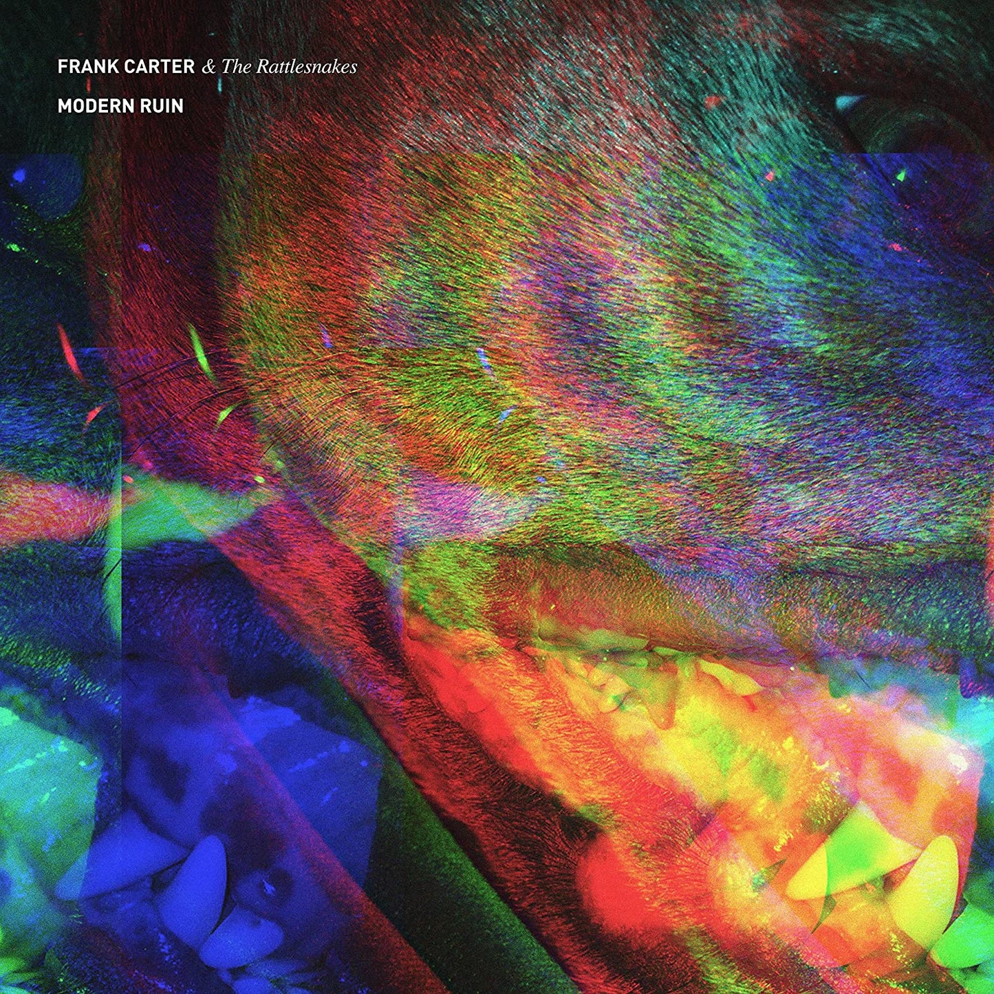 Frank Carter & The Rattlesnakes – Modern Ruin - USED CD
