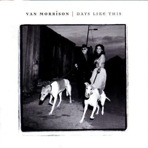 Van Morrison – Days Like This - USED CD