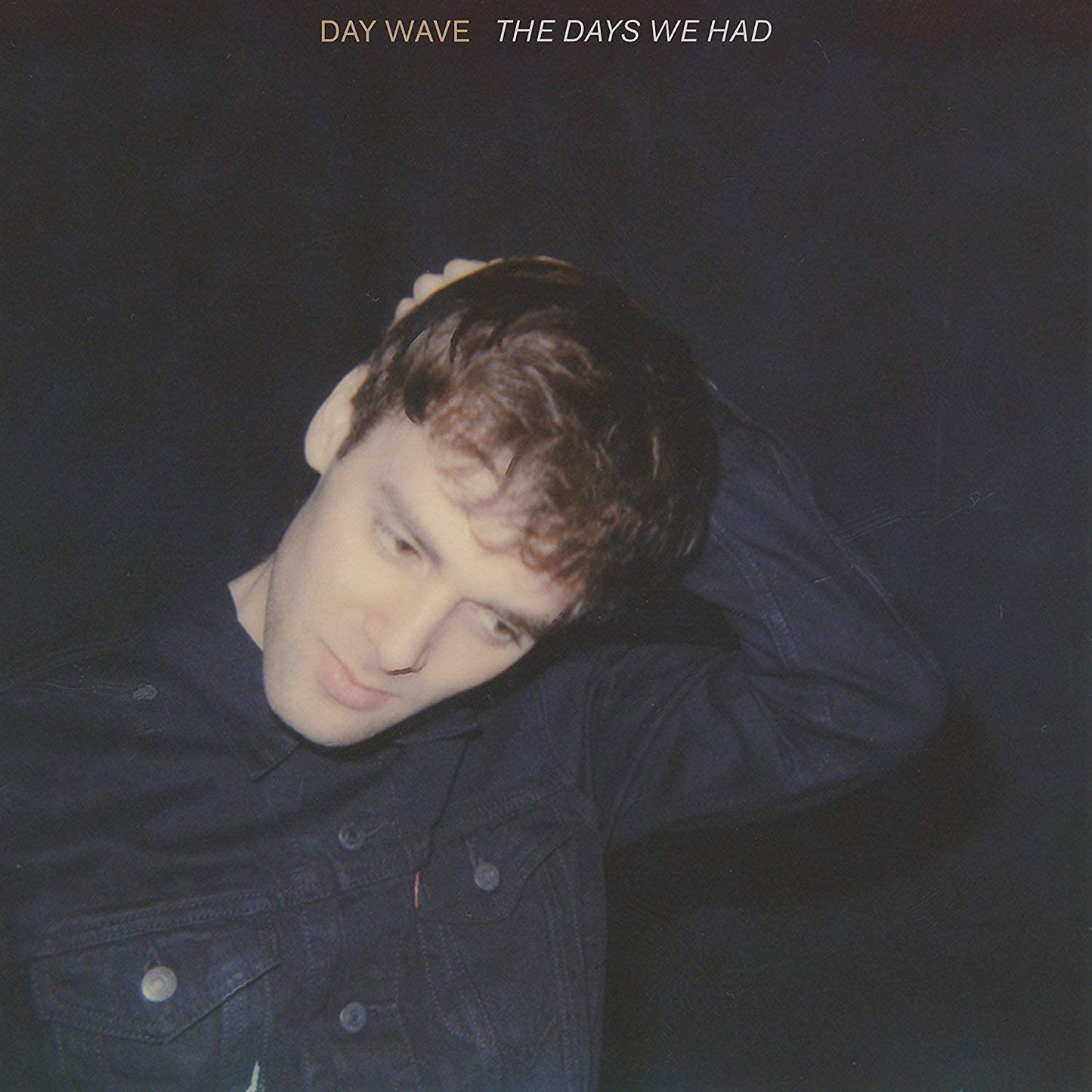 Day Wave - The Days We Had - USED CD