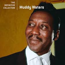 Muddy Waters - Definitive Collection - CD