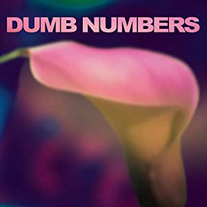 Dumb Numbers - S/T - CD