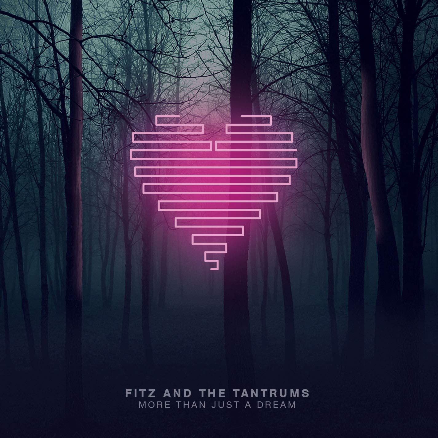 Fitz & The Tantrums - More Than Just A Dream - USED CD