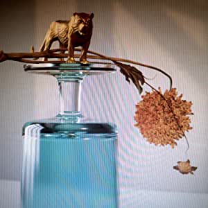 CD - Beirut - Gallipoli