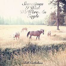 CD - Bill Callahan - Sometimes I Wish We Were An Eagle