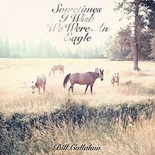 Bill Callahan - Sometimes I Wish We Were An Eagle - CD