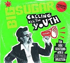 CD - Big Sugar - Calling All The Youth