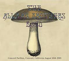 The Allman Brothers Band - Concord Pavillion, Concord, California August 10th 1989 - CD