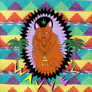 Wavves – King Of The Beach -USED CD