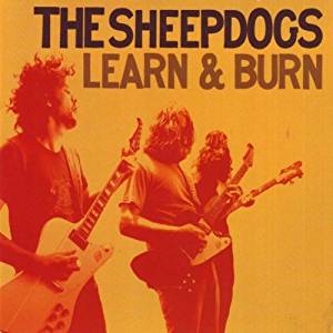 Sheepdogs - Learn & Burn - LP
