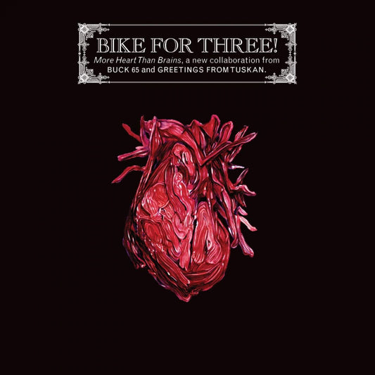 Bike For Three - More Heart Than Brains - CD