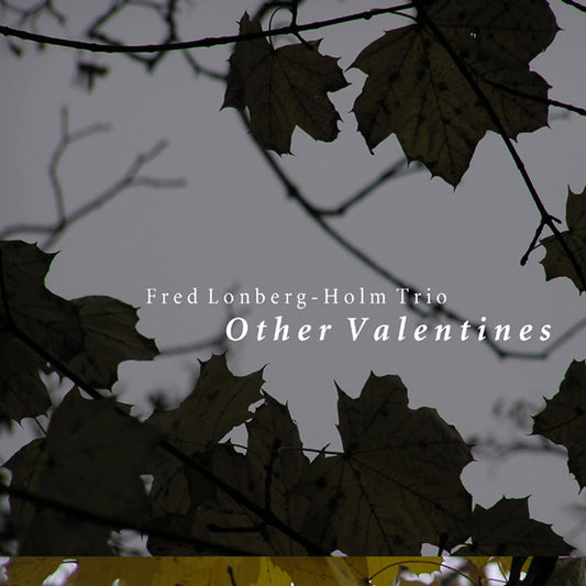 Fred Lonberg-Holm Trio - Other Valentines - CD