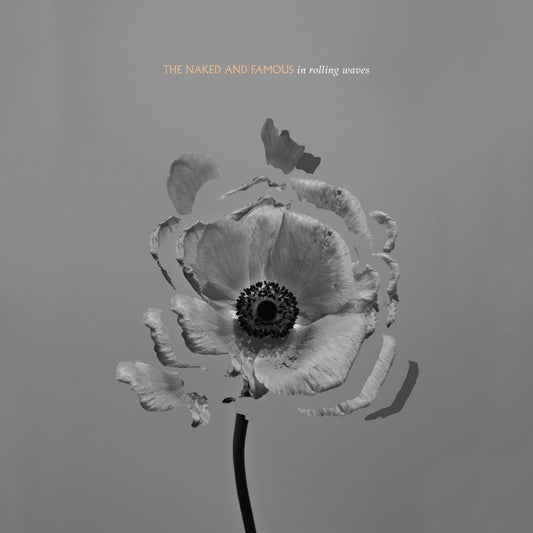 The Naked And Famous - In Rolling Waves -USED CD