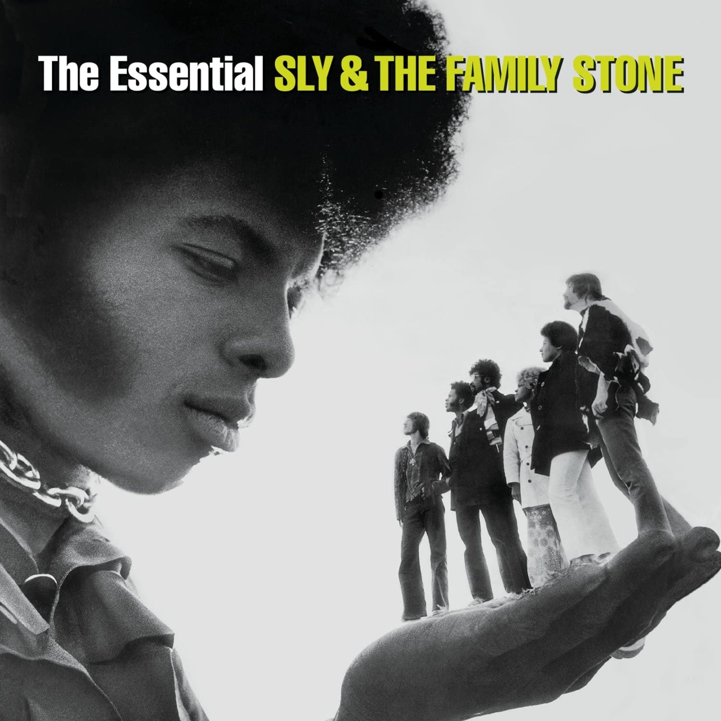 Sly & The Family Stone - The Essential - 2CD